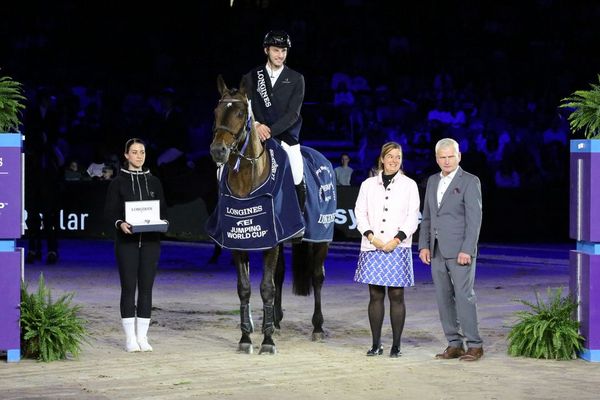 FEI World Cup