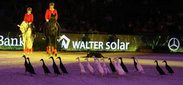 Anne Krüger Degener begeisterte schon 2015 in Show-Abend mit Ihren Enten