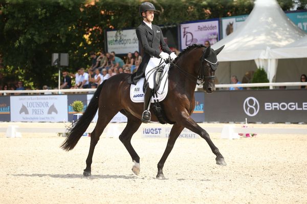 Moritz Treffinger und Superstition OLD zählen zu den Favoriten im Finale. (Foto: D. Matthaes)